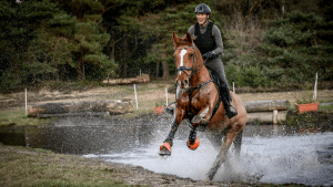 8 tips voorbereiding rijden kampioenschap eventing