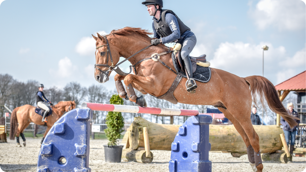 onthoud je springparcours