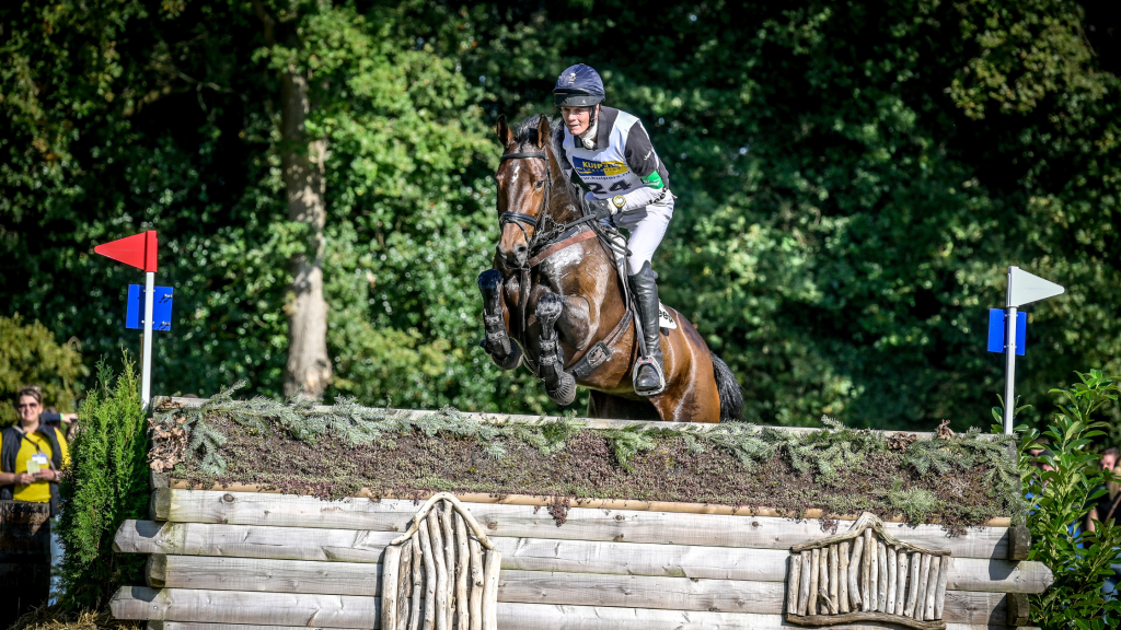 Syndicaten en co-ownership in eventing