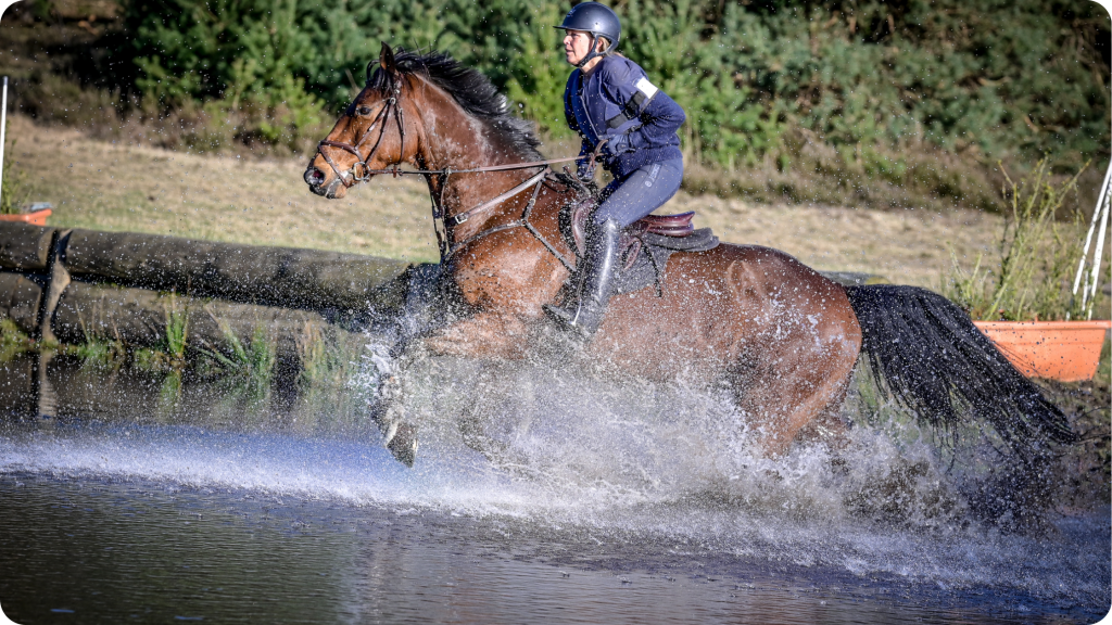 Onderzocht: het imago van de eventingsport